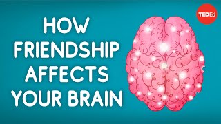 How friendship affects your brain  Shannon Odell [upl. by Alliber963]