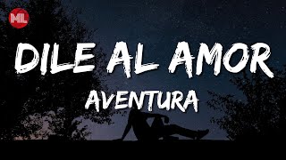 Aventura  Dile Al Amor Letra  Lyrics [upl. by Oleg]