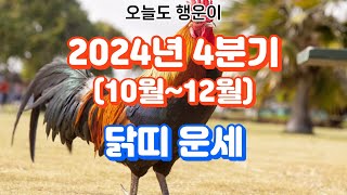 2024년4분기 닭띠 운세Rooster Horoscope for the 4th Quarter of 2024띠별운세 지식 동물 사주 운을운세 이슈소식좋은글사람 [upl. by Mosora]