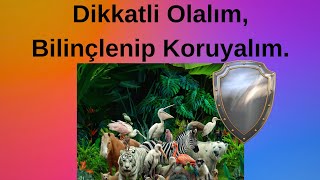 Dikkatli Olalım Bilinçlenip Koruyalım Veee [upl. by Babcock752]