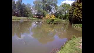 Melverley Farm Top Pool [upl. by Holland58]