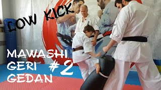 МАВАШИ ГЕРИ ГЕДАН Часть 2 Mawashi geri gedan Low Kick Part 2 [upl. by Stavros174]