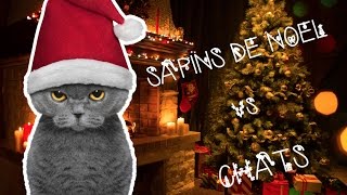 Sapins de Noël vs Chats [upl. by Reneta]