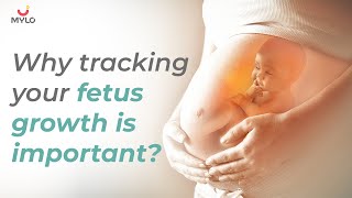 Fetal Growth Chart  Pregnancy Growth Week By Week  Track Fetus Growth  Mylo Family [upl. by Cristie962]