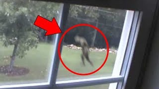 5 Mysterious Creatures Caught on Tape  Top 5 STRANGE Creatures [upl. by Hennebery120]