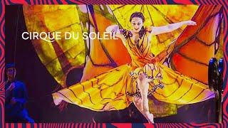 LUZIA  Pez Volador  Official Music Video  Cirque du Soleil [upl. by Aleac]