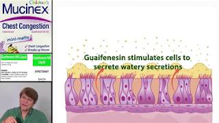 Expectorants Guaifenesin [upl. by Suivatnad]