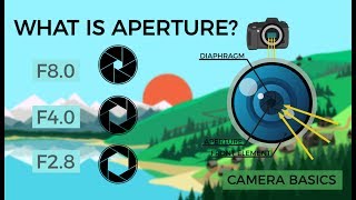 Camera Basics  Aperture [upl. by Raamaj565]