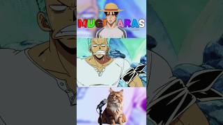 Zoro es un malagradecido 🥲 onepiece anime zoro [upl. by Laurella621]