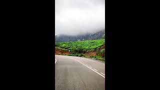 Bike Road Trip 🏍️ Travel to Munnar Tea Plantations 🥰 Beautiful Nature Hill Station 🥰 Kerala ❤️ India [upl. by Acisseg]