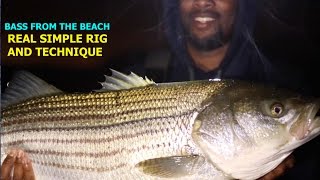 HOW TO CATCH STRIPED BASS OFF THE BEACH FOR DUMMIES NO OFFENSE 2X [upl. by Sihun]