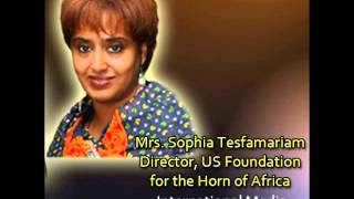 Sophia Tesfamariam on the appeal letter by the 22 intellectuals [upl. by Shandee609]