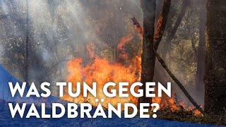 Was tun gegen Waldbrände [upl. by Lalaj]