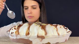 VANILLA amp CHOCOLATE ICE CREAM BOWL  MUKBANG  ASMR  EATING SOUNDS [upl. by Elita]