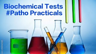 Biochemical Tests  answers for unobserved stations Patho OSPE 2024 [upl. by Neeloc678]