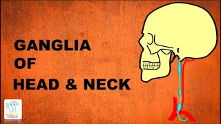 Ganglia of head amp neck [upl. by Oneg377]