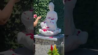 garden Buddha lovers decoration  nature welcome Buddha at my garden 💐🌺🌷🌹 [upl. by Aetnahc]