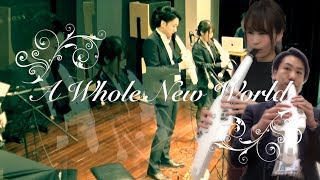 Aerophone Duo Roland AE10 『A Whole New World／アラジン』島村楽器 川崎ルフロン店＆ラゾーナ川崎店 インストラクター演奏／AE10G／エアロフォン [upl. by Kcirad]