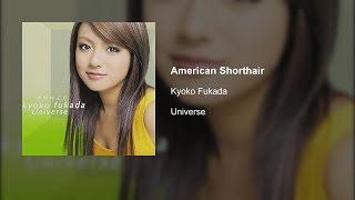 Kyoko Fukada  American Shorthair [upl. by Sirovart]