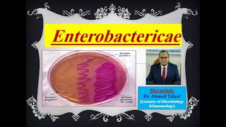 Enterobacteriaceae quotMedical Microbiologyquot [upl. by Goldina]