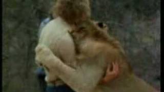 3 Christian The Lion  Top 10 Viral Videos  TIME [upl. by Walrath]