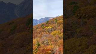 Nagano over the top japan traveling nagano kamikochi hakuba travelvlog vlogger short [upl. by Averell]