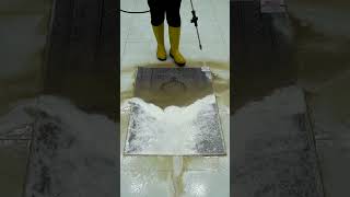 Unbelievable Stain Removal  Instant Results [upl. by Yanffit]