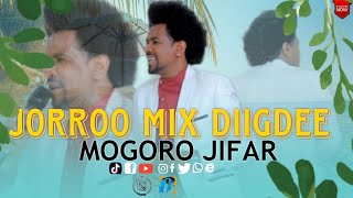 Mogoroo Jifaaraa  Qoosaa Dhiisi  New Oromo music 🎶 2024 [upl. by Iznek166]