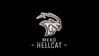 MEKO  Hellcat Official Lyric Video [upl. by Akemihs]