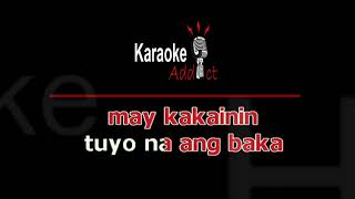 TUYO  DONG ABAY OPM Karaoke [upl. by Nyrol]