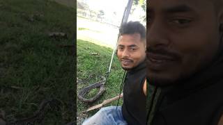 মালেশিয়া কত বড় অজগর সাপ ll Malaysia Big Snake ll short shortfeed trending probasi bangla snake [upl. by Aikem]