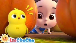 Five Little Chicks Song🐣  Little Chick Search Song  EP17  LiaChaCha Nursery Rhymes amp Baby Songs [upl. by Yennek]