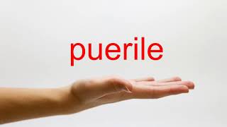 How to Pronounce puerile  American English [upl. by Itsirhc]