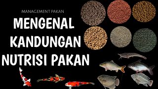 RAHASIA KANDUNGAN PELET PABRIKAN [upl. by Ennoryt971]