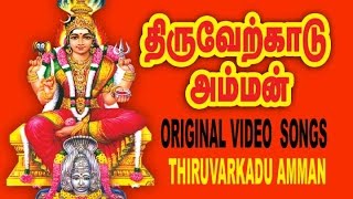 thiruverkadu karumariamman hd video songs [upl. by Jelsma971]