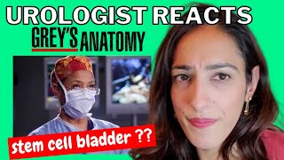 Urologist Reacts to GREYS ANATOMY Stem cell bladder  How to STOP Bladder LEAKAGE [upl. by Eanej]