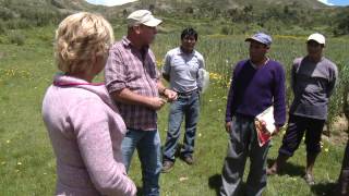 Eco Stoves in Peru  A Better World Canada [upl. by Penrod]