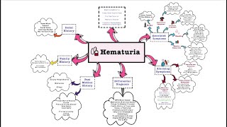 Hematuria  OSCE [upl. by Natty545]