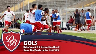 Sub 20 vence o Botafogo na Copa São Paulo Júnior 2018 [upl. by Canotas]