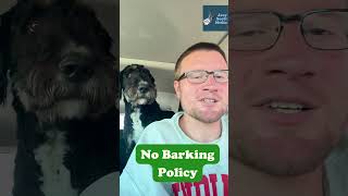 No Barking Policy bernedoodle doodle dog funny funnydog doglife doglover [upl. by Ashly]