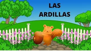 LAS ARDILLAS PARA NIÑOS TODO SOBRE LAS ARDILLAS LAS ARDILLAS  EN ESPAÑOL [upl. by Cam]