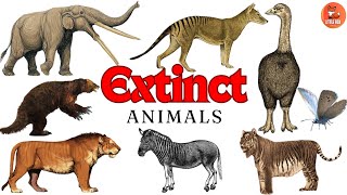 Top 70 Extinct Animals Names in English for kids kidslearning animals reptiles [upl. by Anaicilef496]