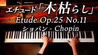 【感謝！150万人】ショパン「木枯らし」エチュード  Chopin  Etude Op25 No11 “Winter Wind” CANACANA [upl. by Olmstead992]