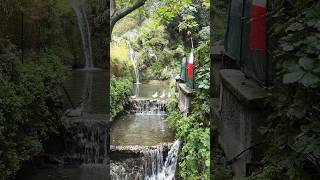 Positano Italy 🇮🇹 amalficoast travelvlog roadside nature [upl. by Arbe585]