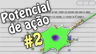 Potencial de ação o Impulso Nervoso  23  O Impulso e sua Condução [upl. by Arhsub857]