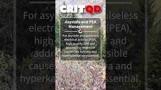 Asystole and PEA Management [upl. by Pega]