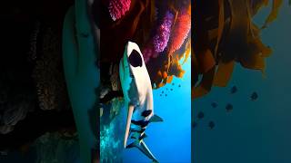 Beneath the Waves A Glimpse into the Oceans Majesty 🦈🌊 shark ocean viralvideo [upl. by Yllier]