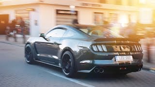 Supercars At Winter In Knokke AMG GTR 458 GT3 GT350 [upl. by Eneg]