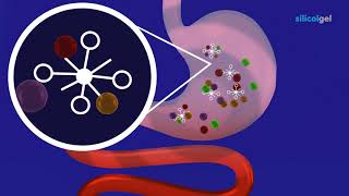 How does silicolgel work [upl. by Kendell]