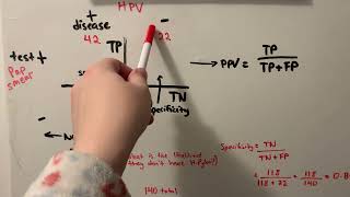 True Positive True Negative False Positive False Negative  PPV and NPV how to calculate [upl. by Notlek]